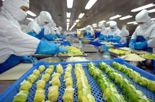 食品廠凈化解決方案 食品廠凈化解決方案