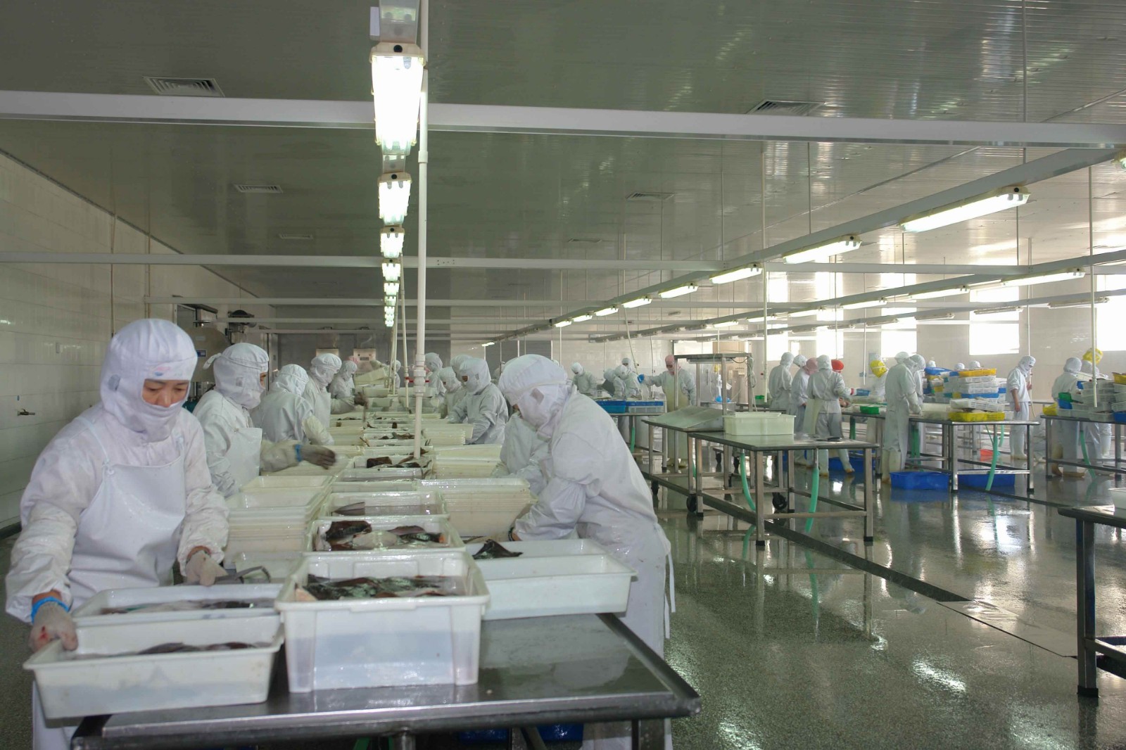 食品廠應用方案 食品廠應用方案