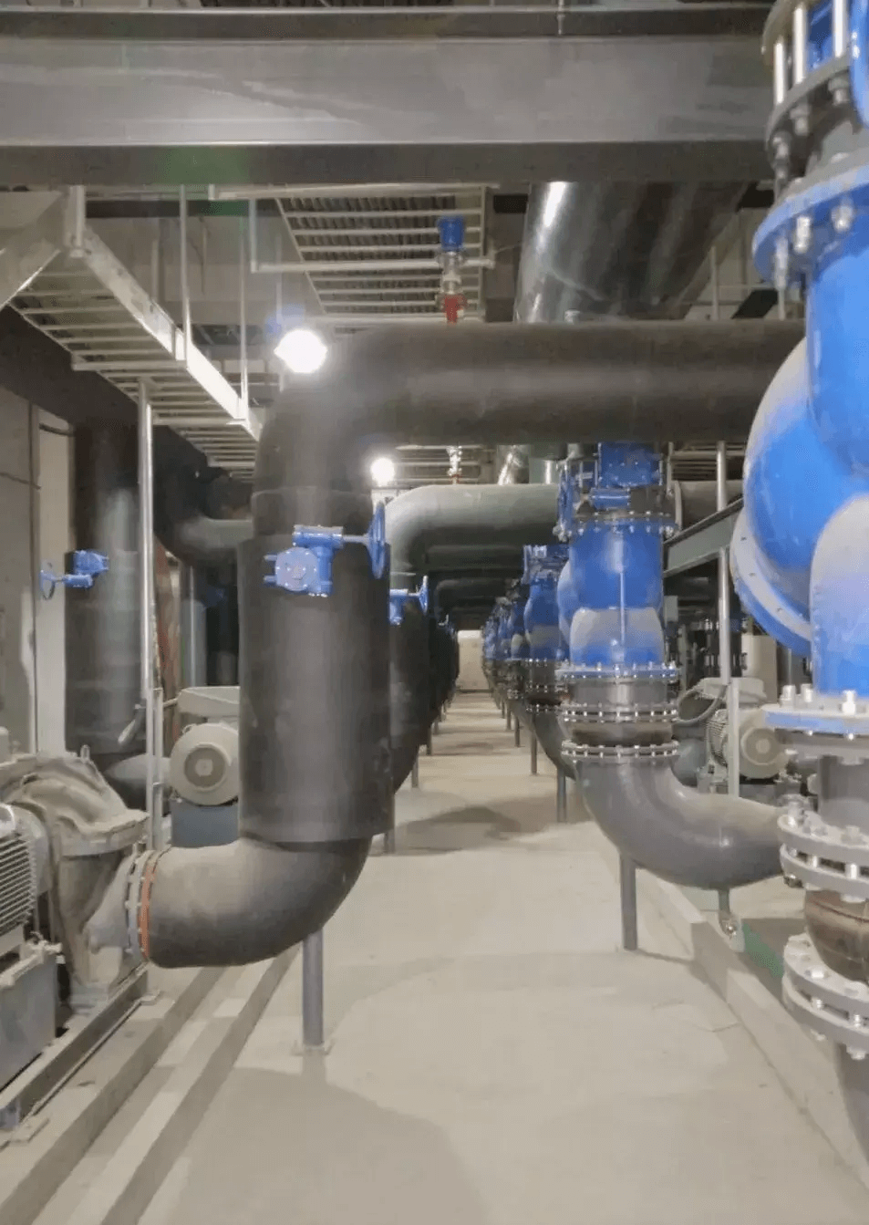 1605679768138122.png 4a8e5b2b056f46f1b177df65de4ed907.png